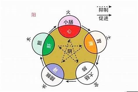 個人五行屬性|如何知道一個人的五行屬什么